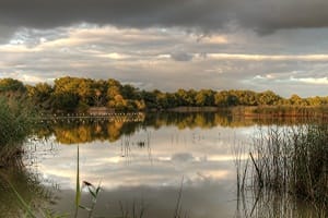 Le lac de Brenne avec sa nature et ses animaux sauvages